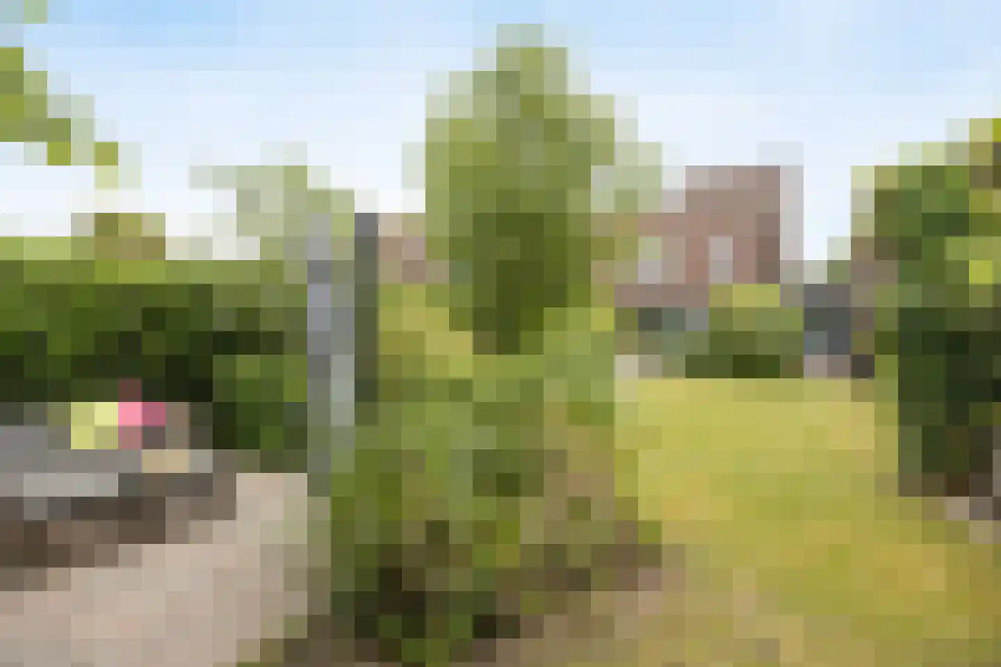 Landjuweel 19 Etten-Leur thumbnail 52