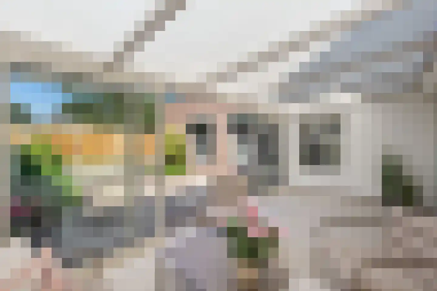 Landjuweel 22 Roosendaal thumbnail 12