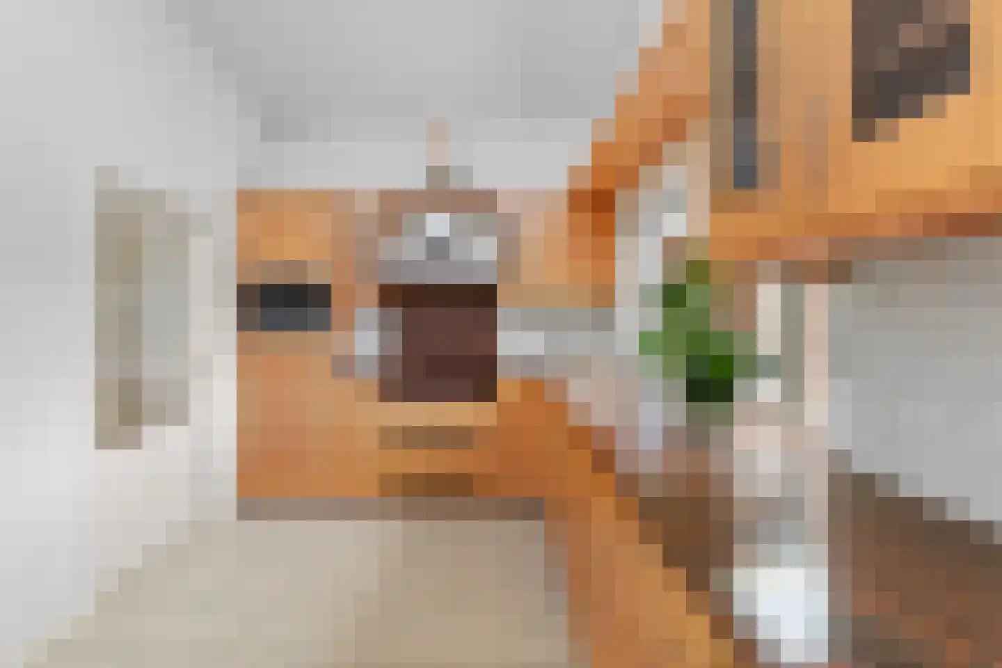 Landjuweel 22 Roosendaal thumbnail 17