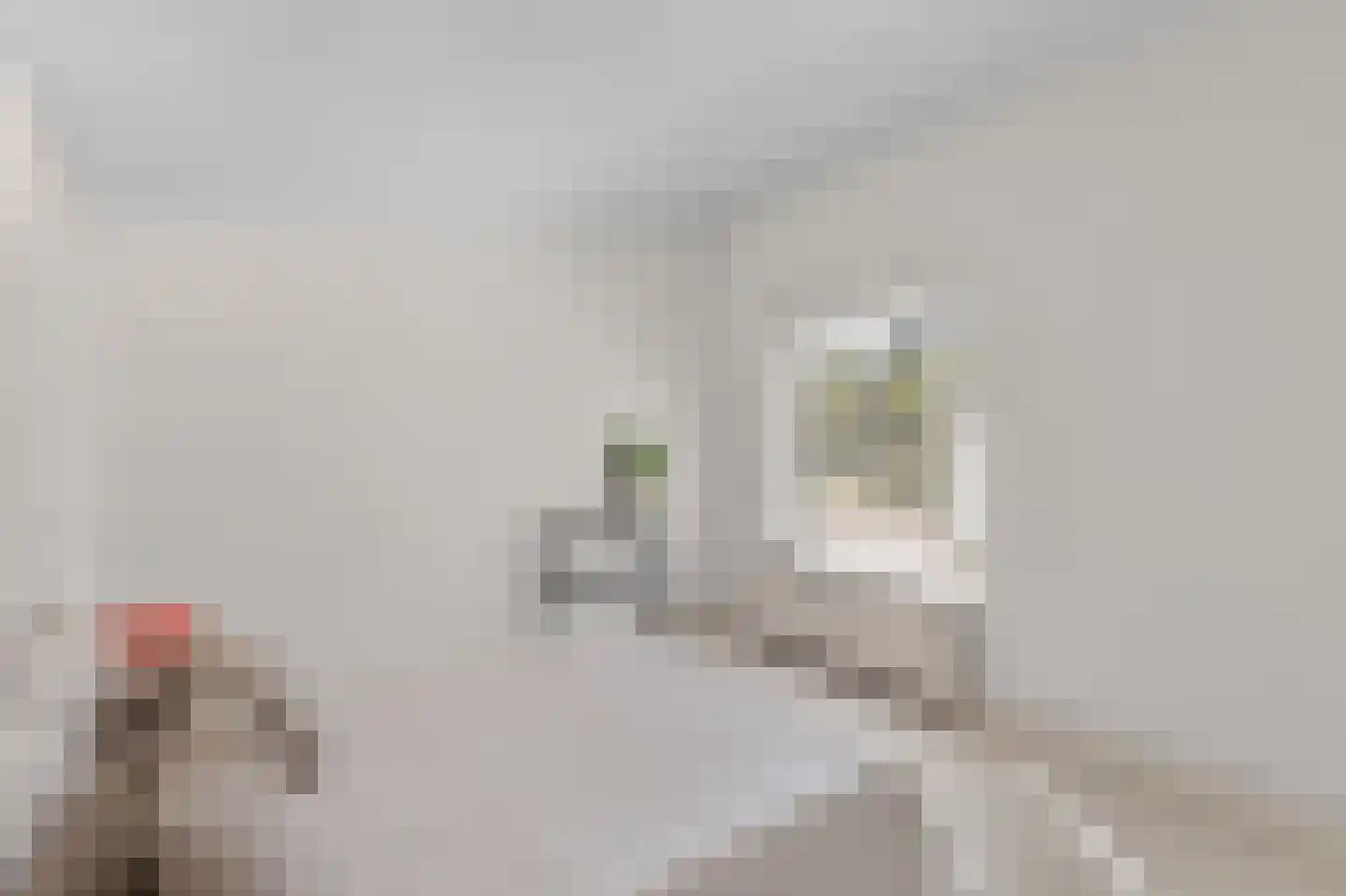 Landjuweel 22 Roosendaal thumbnail 22