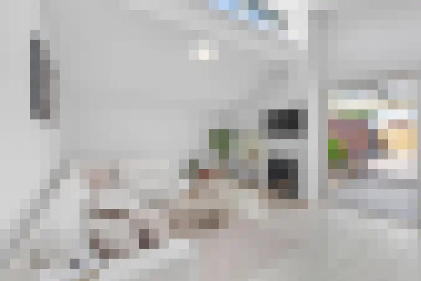 Landjuweel 22 Roosendaal thumbnail 7