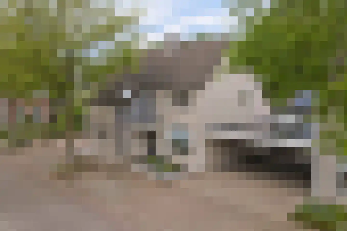 Landjuweel 3 dans Bergeijk