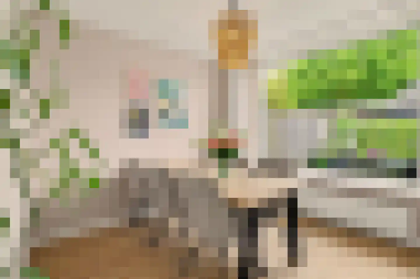 Landjuweel 3 Bergeijk thumbnail 15