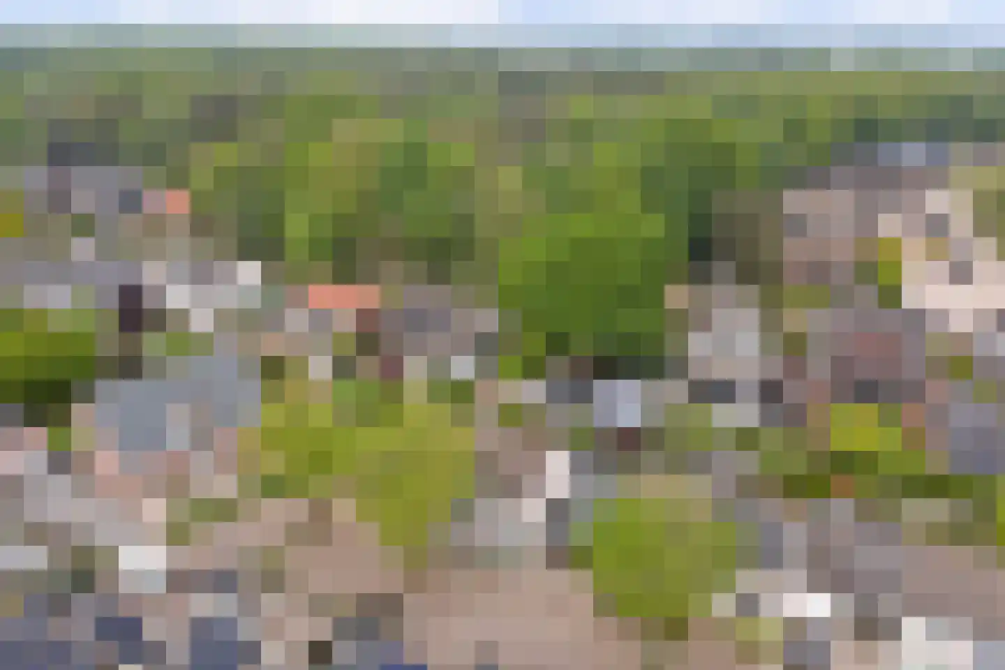 Landjuweel 3 Bergeijk thumbnail 39