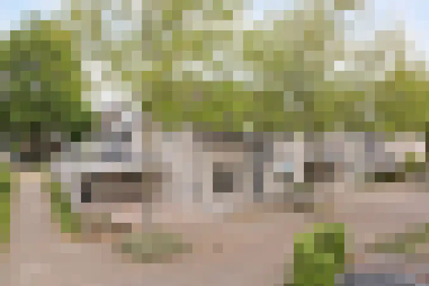Landjuweel 3 Bergeijk thumbnail 41