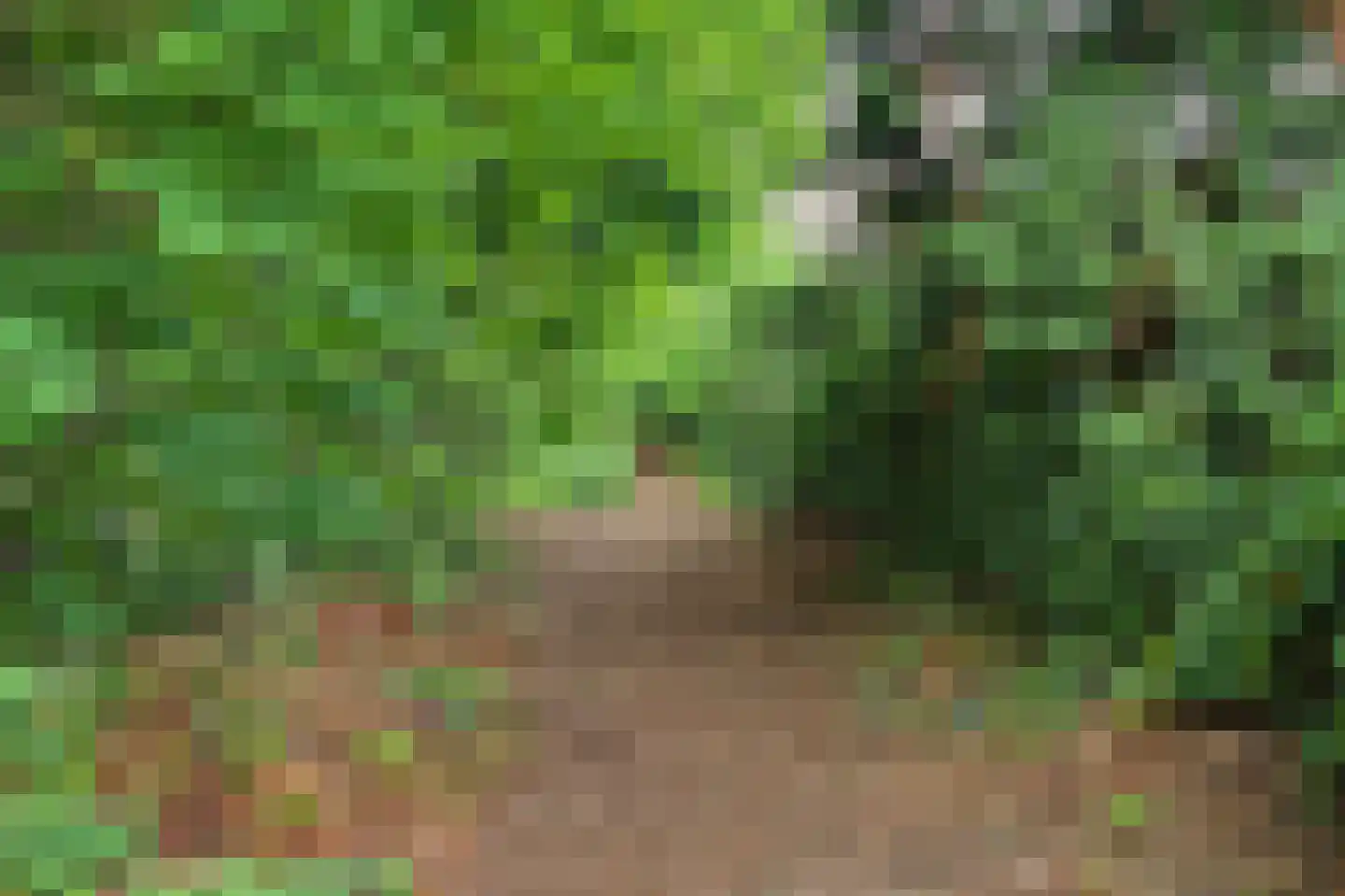 Landjuweel 3 Bergeijk thumbnail 43