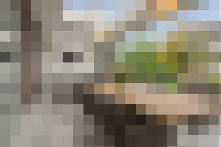 Landjuweel 41 Etten-Leur thumbnail 18