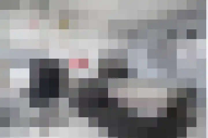Landjuweel 41 Etten-Leur thumbnail 36
