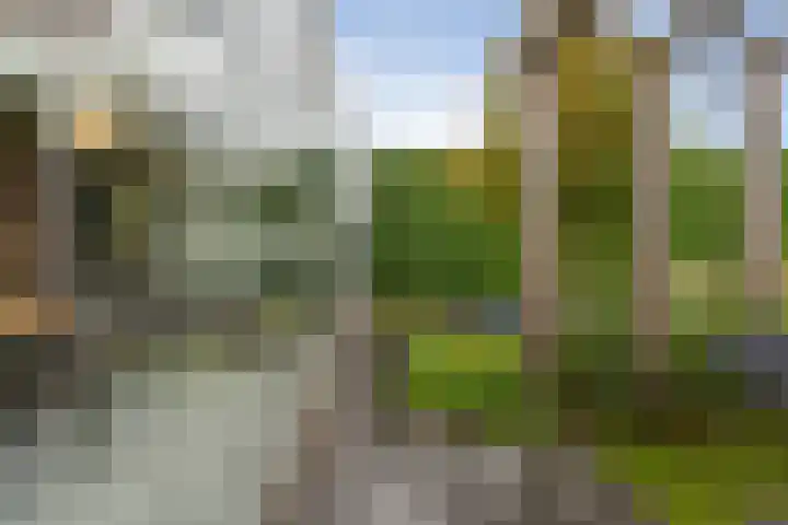 Landjuweel 41 Etten-Leur thumbnail 47