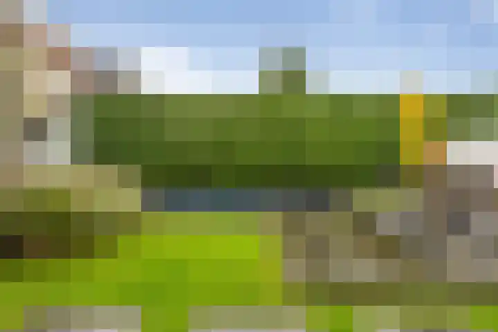 Landjuweel 41 Etten-Leur thumbnail 50