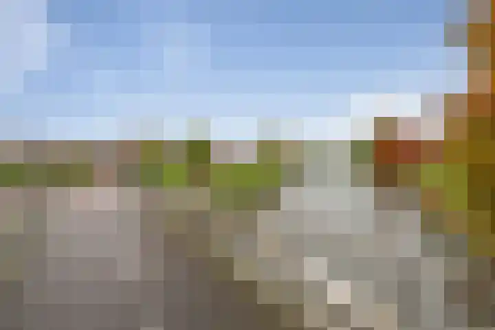 Landjuweel 41 Etten-Leur thumbnail 54