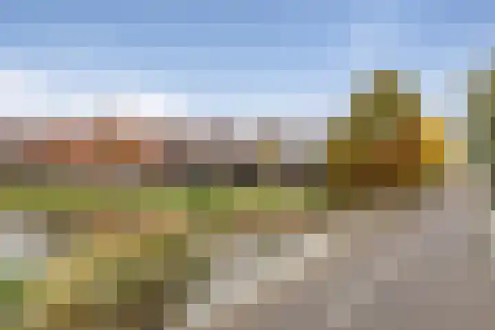 Landjuweel 41 Etten-Leur thumbnail 56
