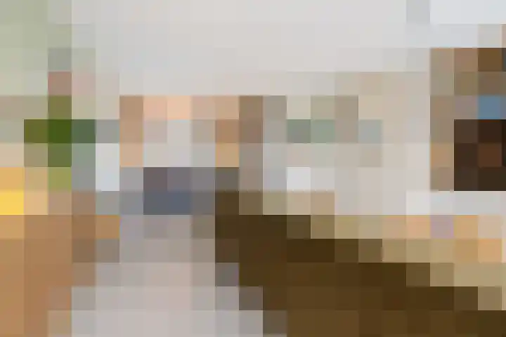 Landjuweel 41 Etten-Leur thumbnail 8