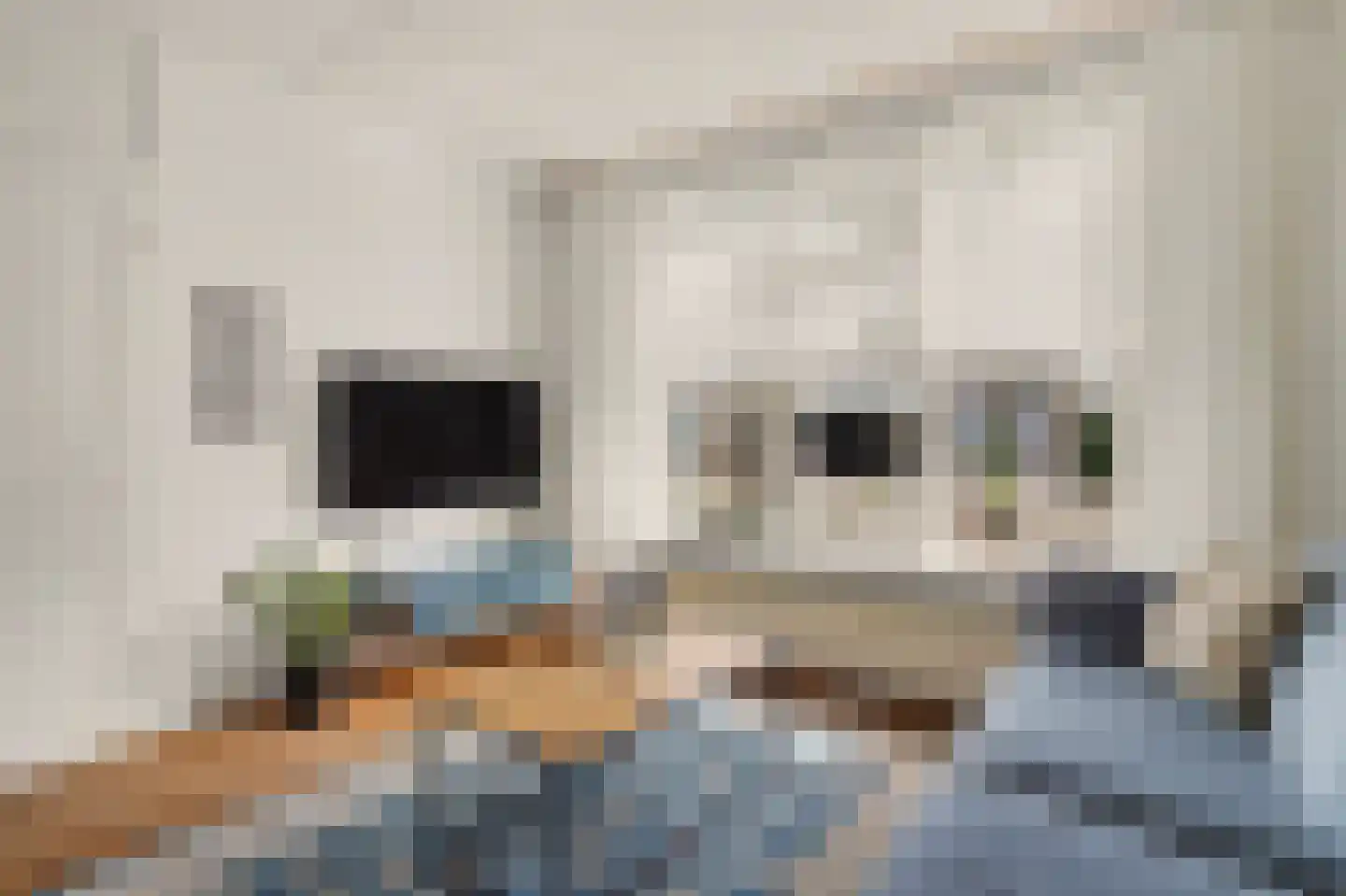 Landjuweel 5 Bergeijk thumbnail 11
