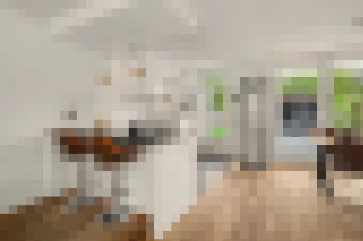 Landjuweel 5 Bergeijk thumbnail 13