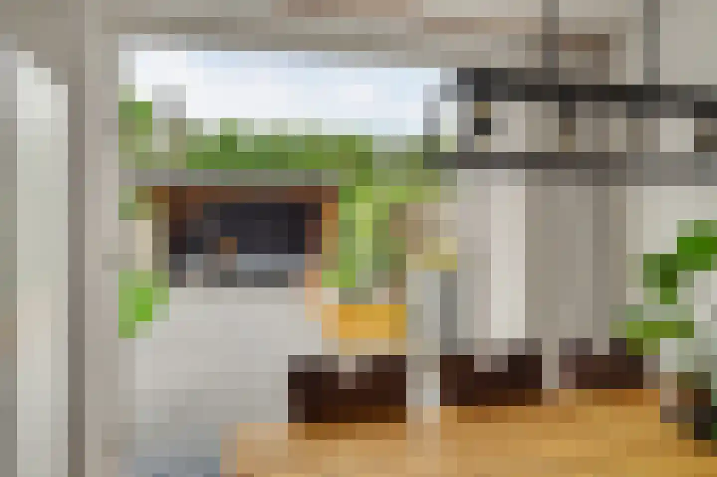 Landjuweel 5 Bergeijk thumbnail 19