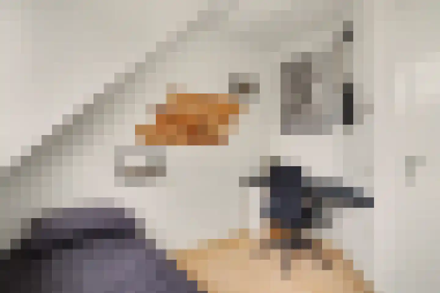 Landjuweel 5 Bergeijk thumbnail 25