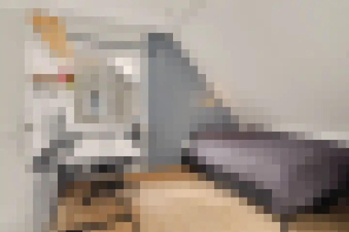 Landjuweel 5 Bergeijk thumbnail 26