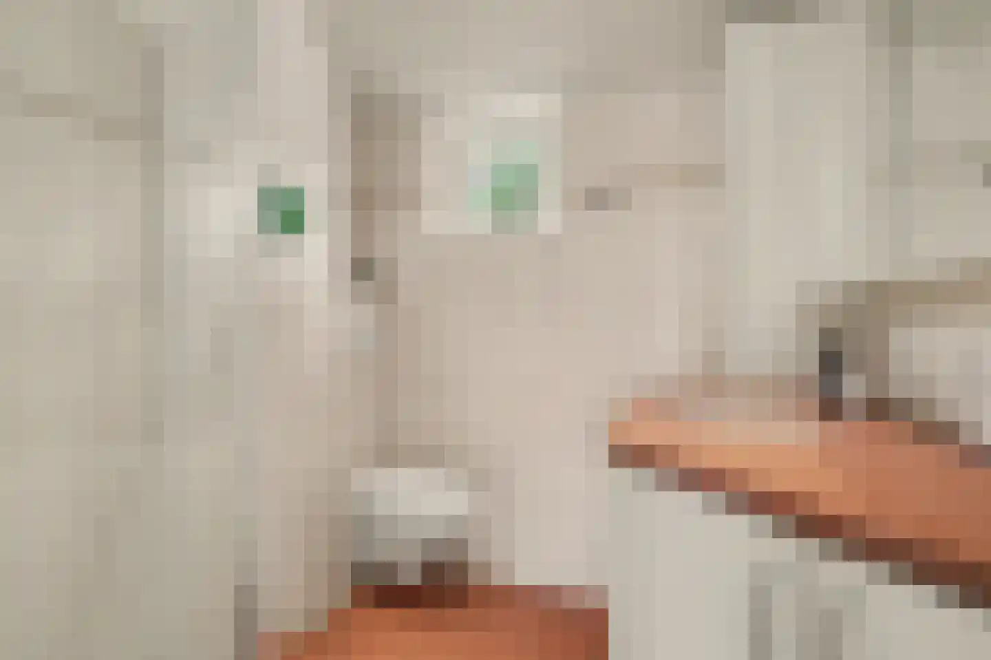 Landjuweel 5 Bergeijk thumbnail 28