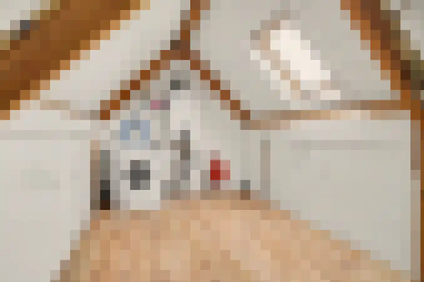 Landjuweel 5 Bergeijk thumbnail 31