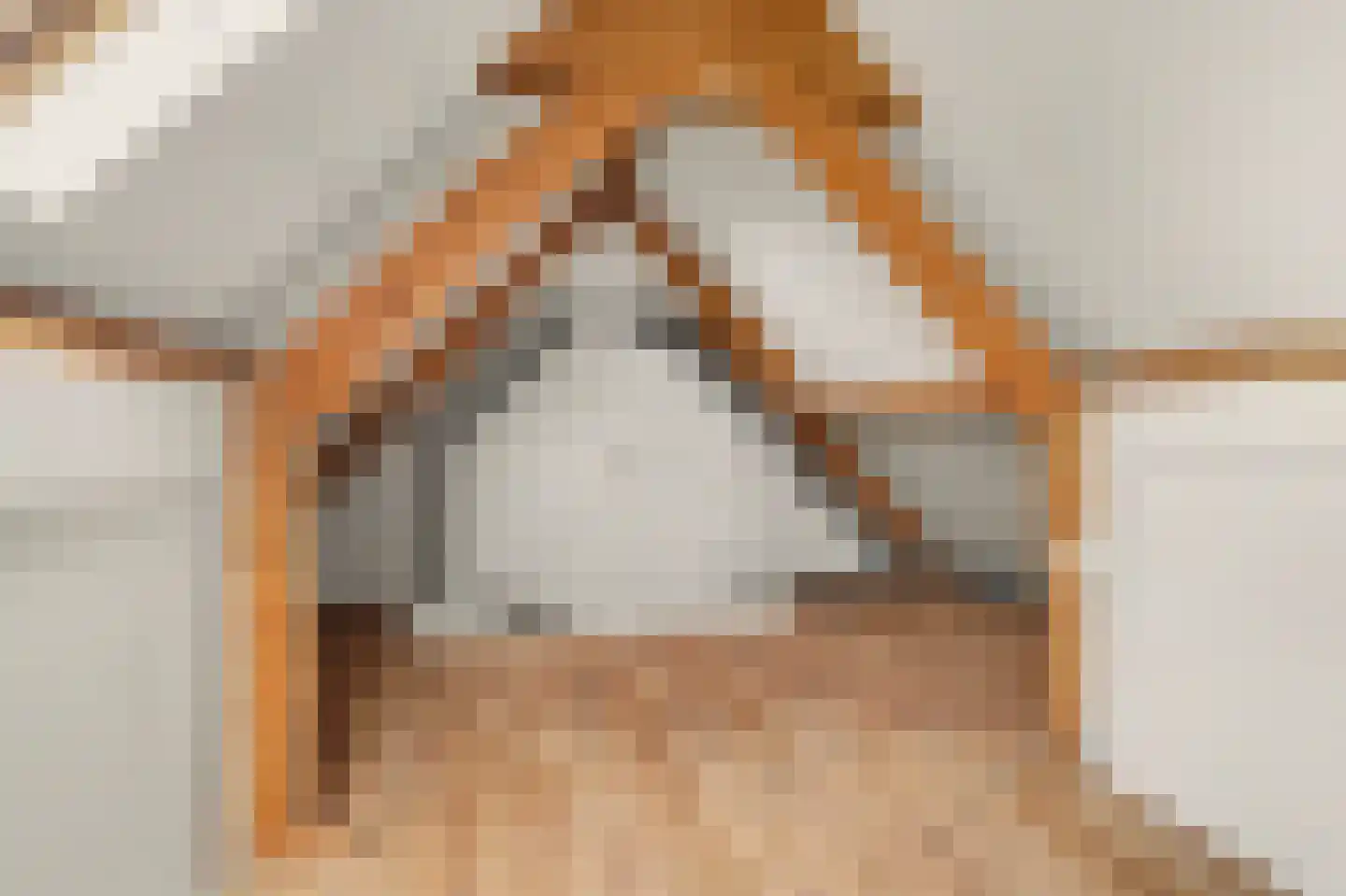Landjuweel 5 Bergeijk thumbnail 32