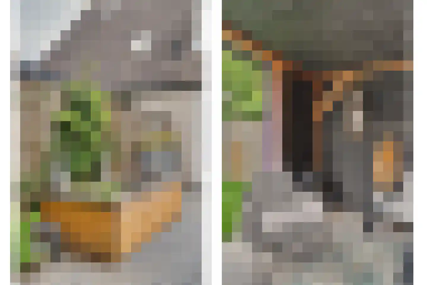 Landjuweel 5 Bergeijk thumbnail 37