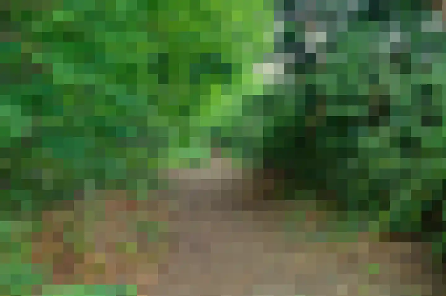 Landjuweel 5 Bergeijk thumbnail 44