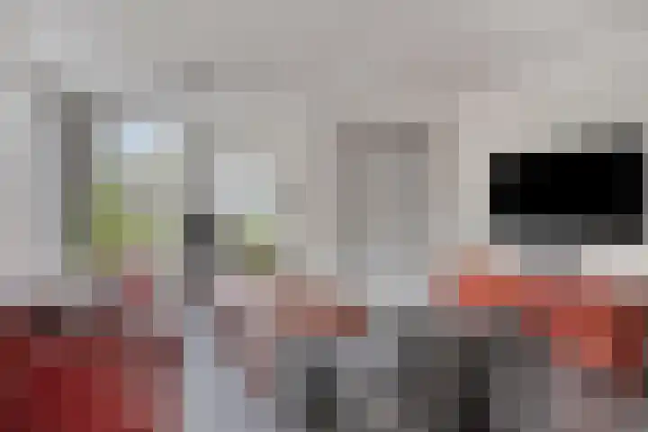 Landjuweel 6 Bergeijk thumbnail 12