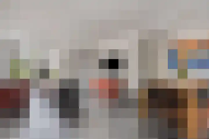 Landjuweel 6 Bergeijk thumbnail 15