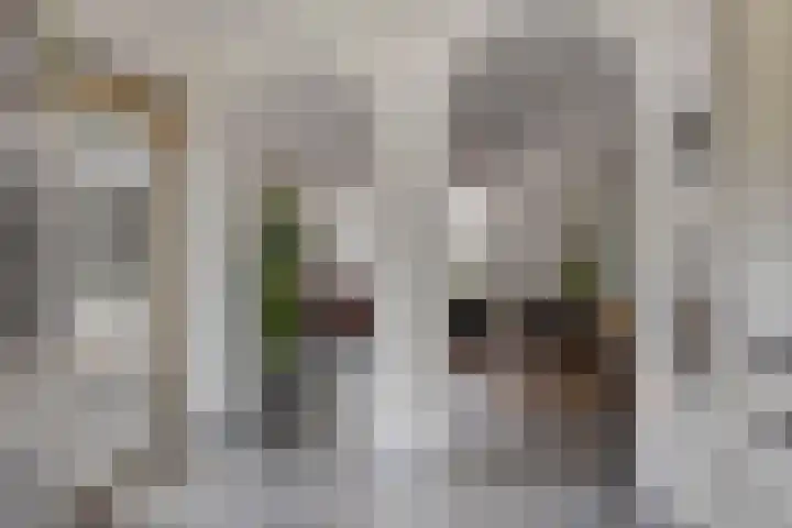 Landjuweel 6 Bergeijk thumbnail 17