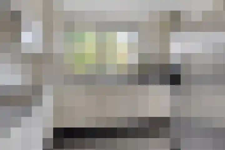 Landjuweel 6 Bergeijk thumbnail 18