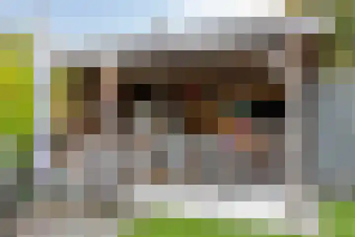 Landjuweel 6 Bergeijk thumbnail 29