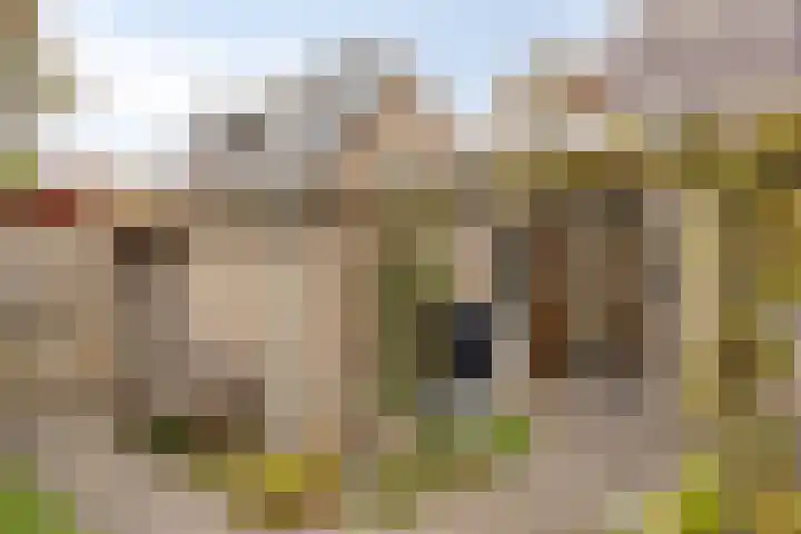 Landjuweel 6 Bergeijk thumbnail 31