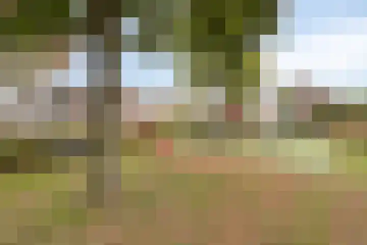 Landjuweel 6 Bergeijk thumbnail 32