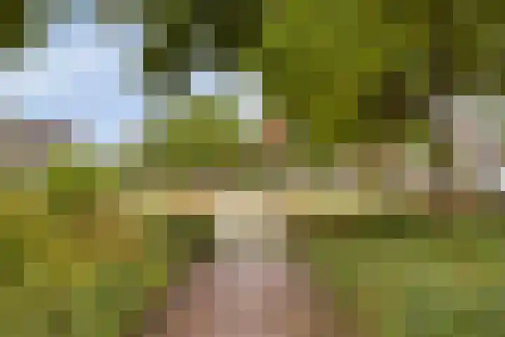 Landjuweel 6 Bergeijk thumbnail 33