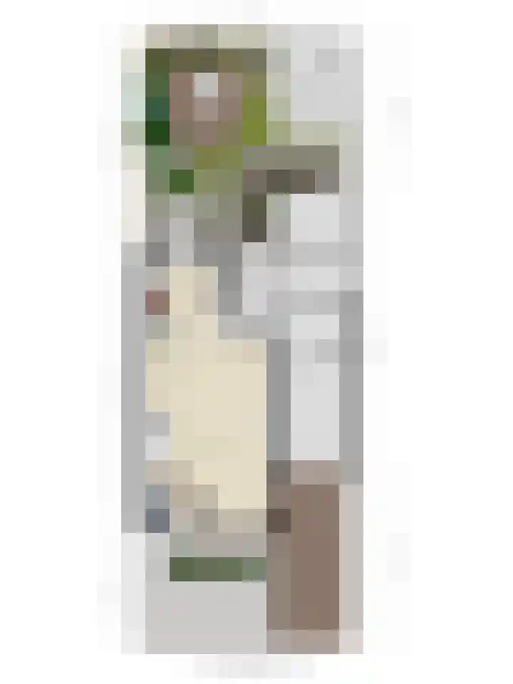 Landjuweel 6 Bergeijk thumbnail 37