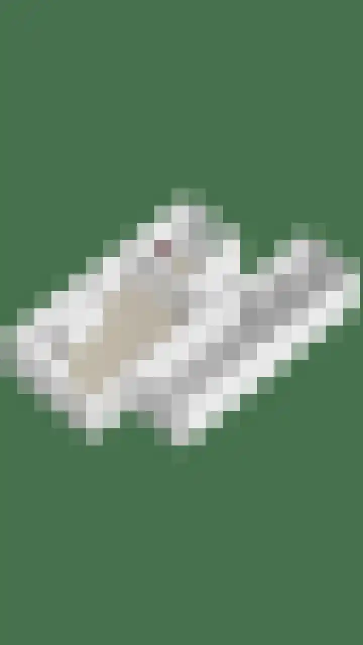 Landjuweel 6 Bergeijk thumbnail 39