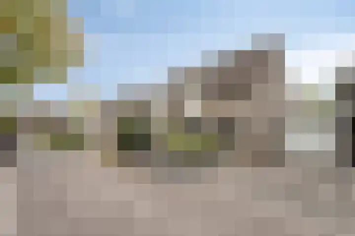 Landjuweel 6 Bergeijk thumbnail 4