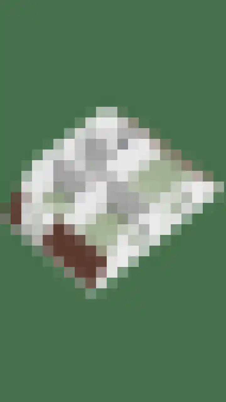 Landjuweel 6 Bergeijk thumbnail 40