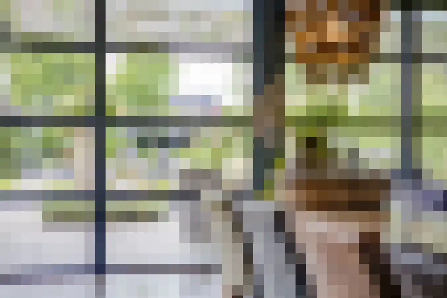 Landjuweel 81 Etten-Leur thumbnail 11