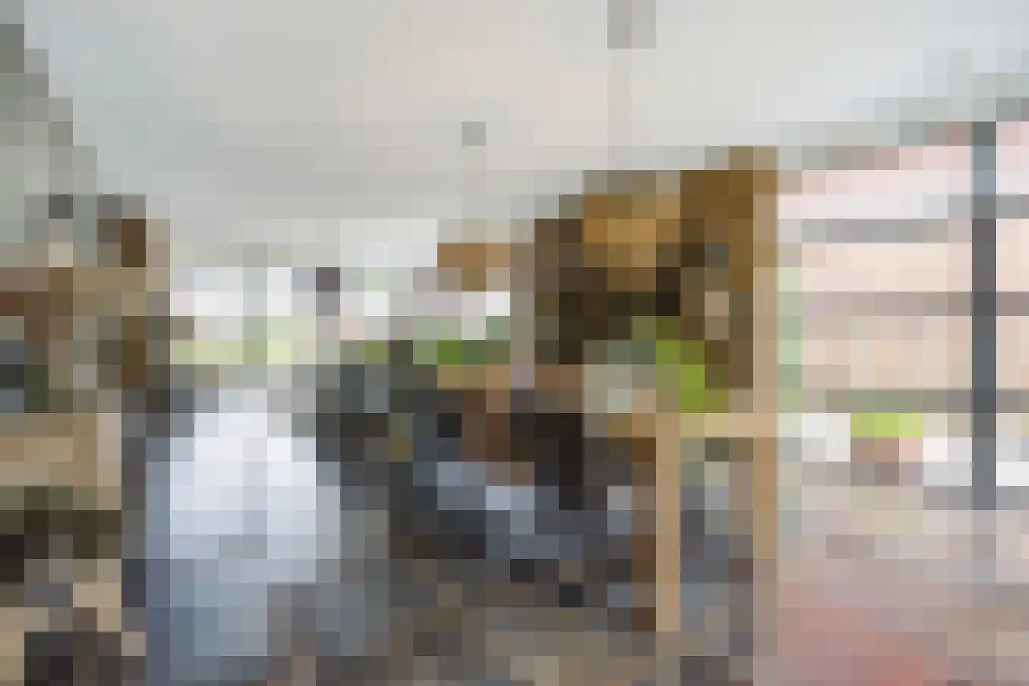 Landjuweel 81 Etten-Leur thumbnail 13