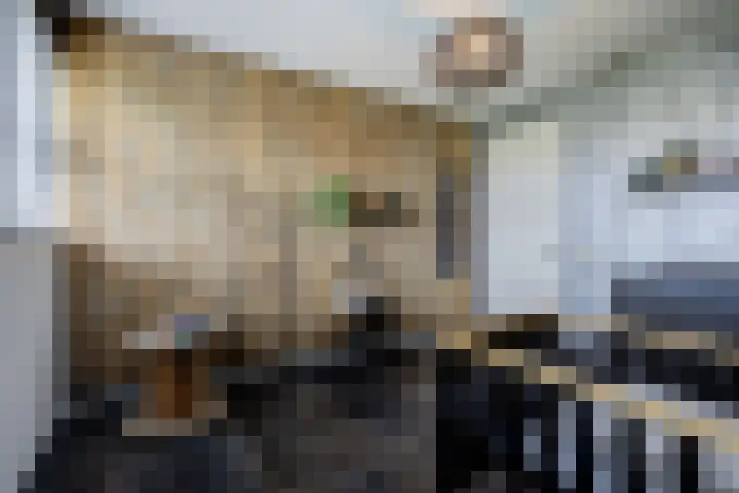 Landjuweel 81 Etten-Leur thumbnail 30