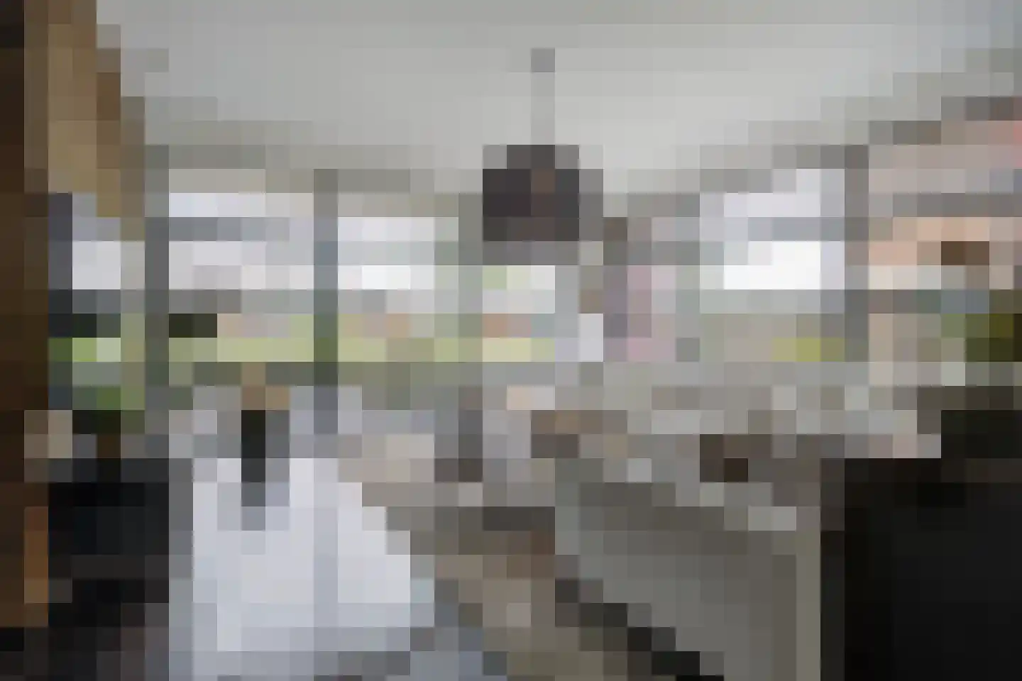 Landjuweel 81 Etten-Leur thumbnail 6