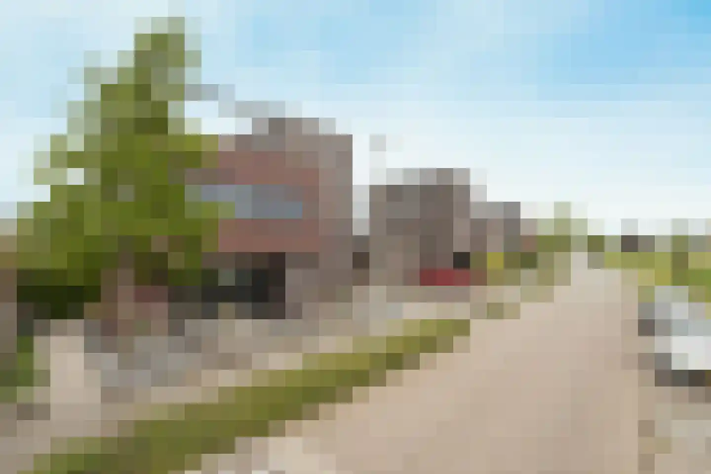 Landjuweel 81 Etten-Leur thumbnail 68