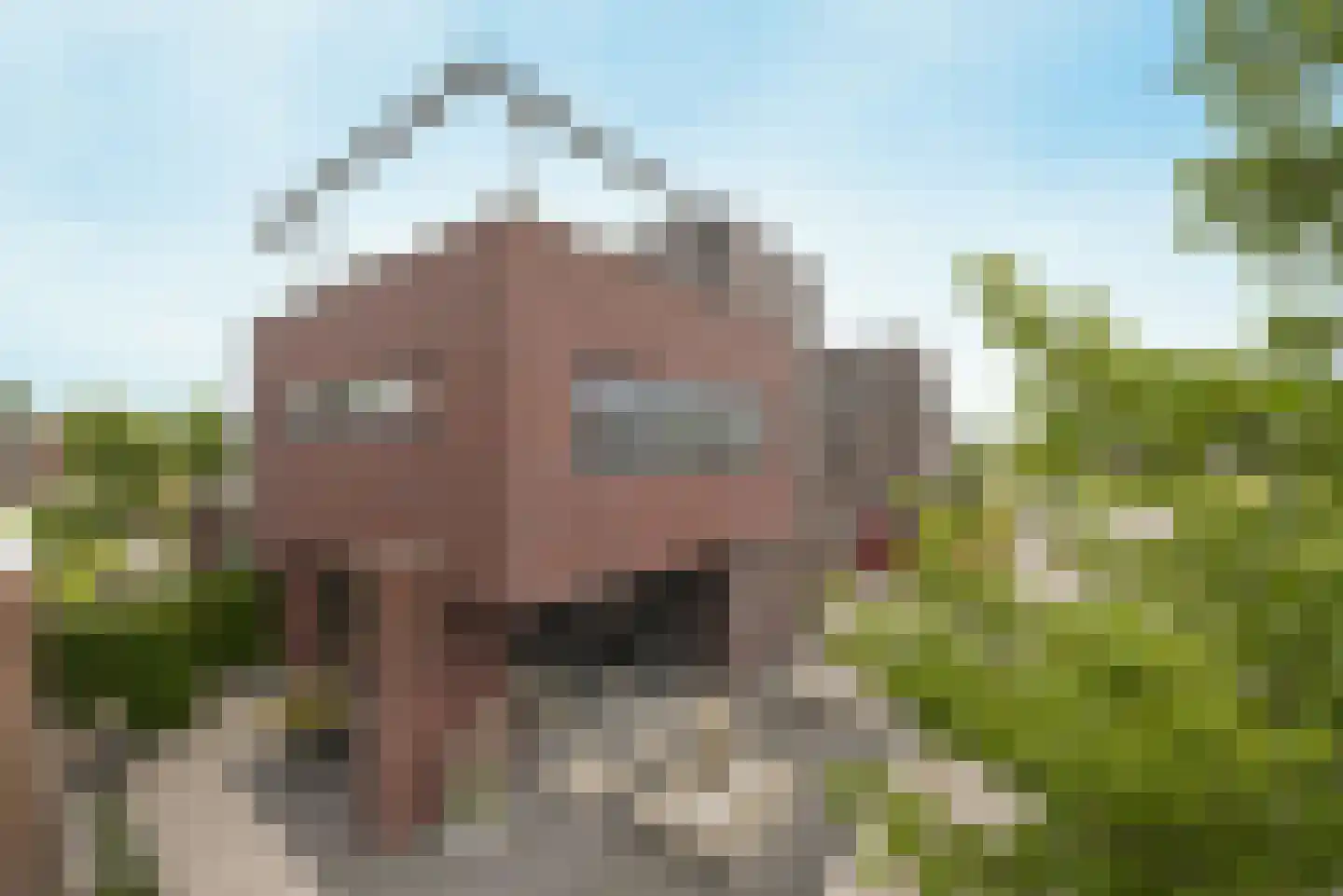 Landjuweel 81 Etten-Leur thumbnail 72
