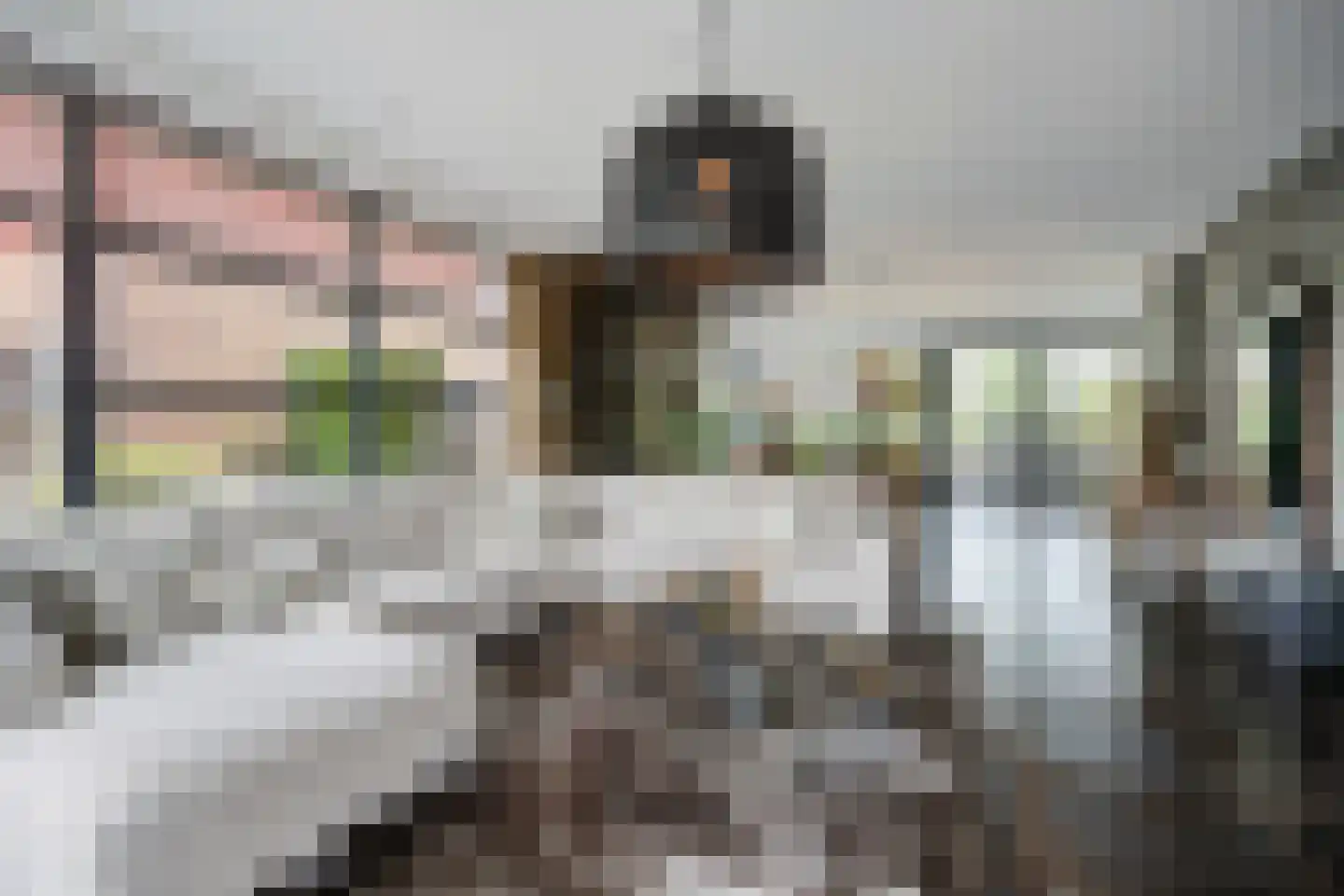 Landjuweel 81 Etten-Leur thumbnail 8