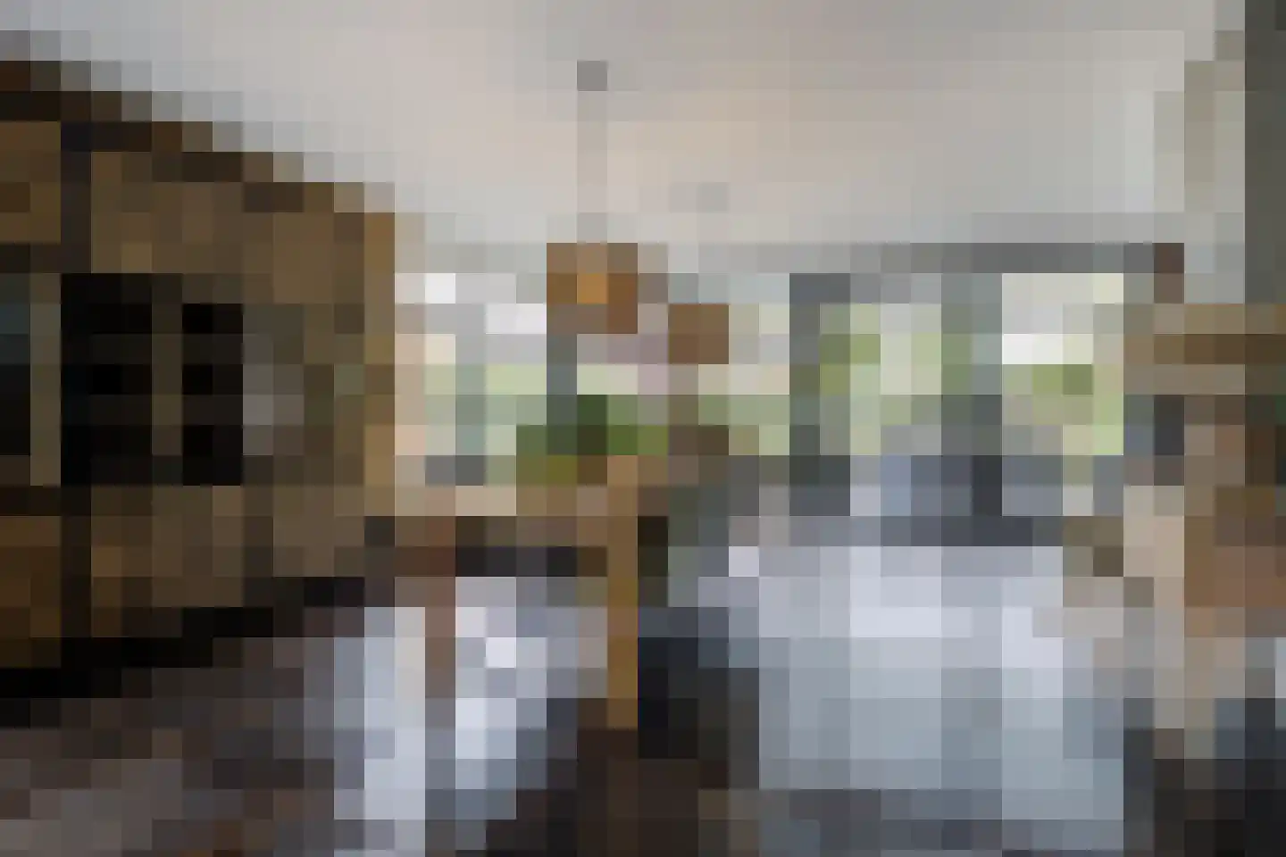 Landjuweel 81 Etten-Leur thumbnail 9
