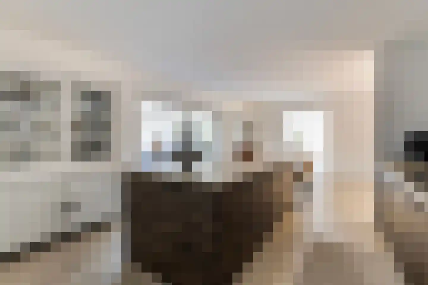 Landkaartje 12 Rijen thumbnail 10