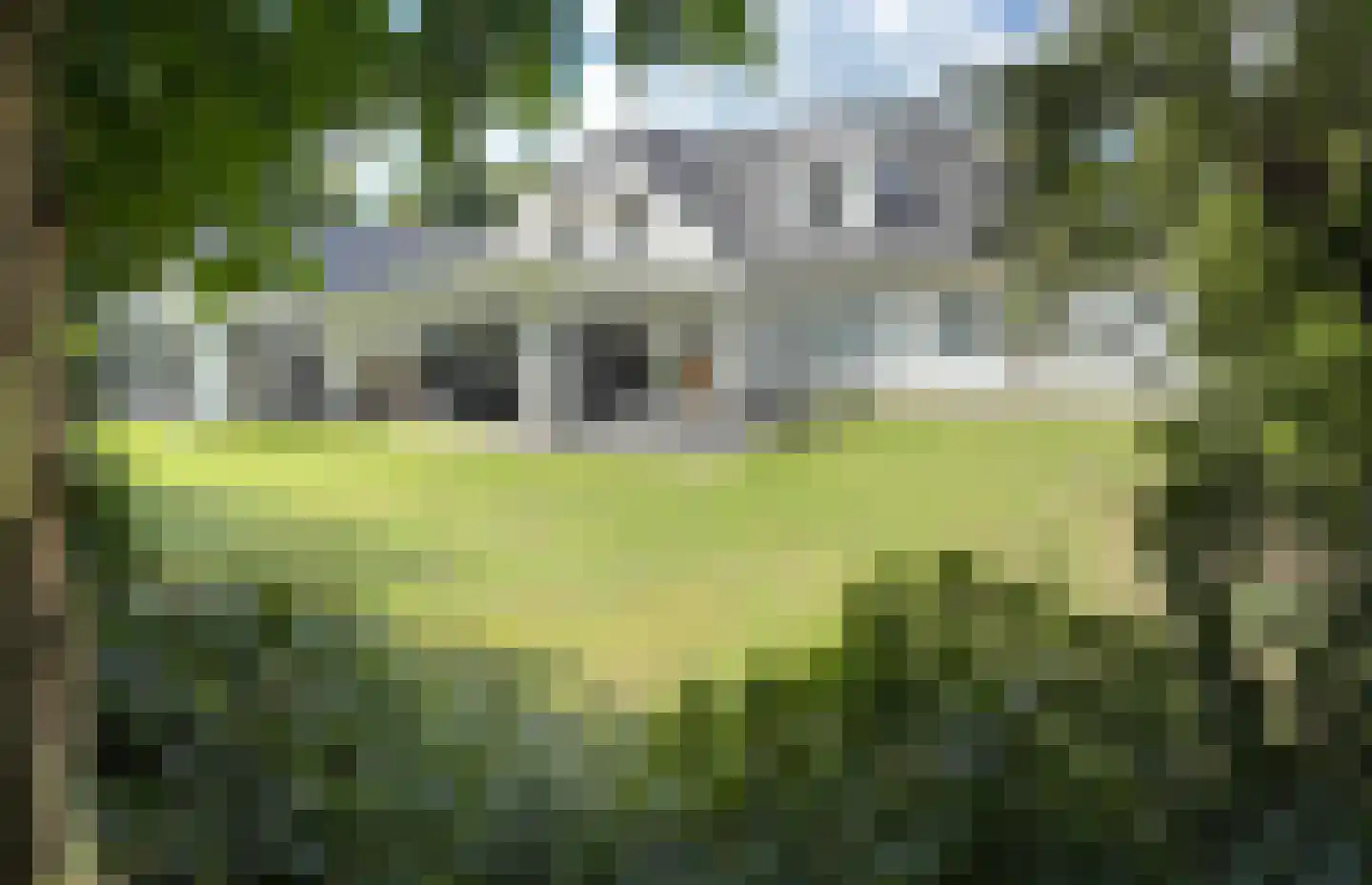 Landkaartje 12 Rijen thumbnail 44