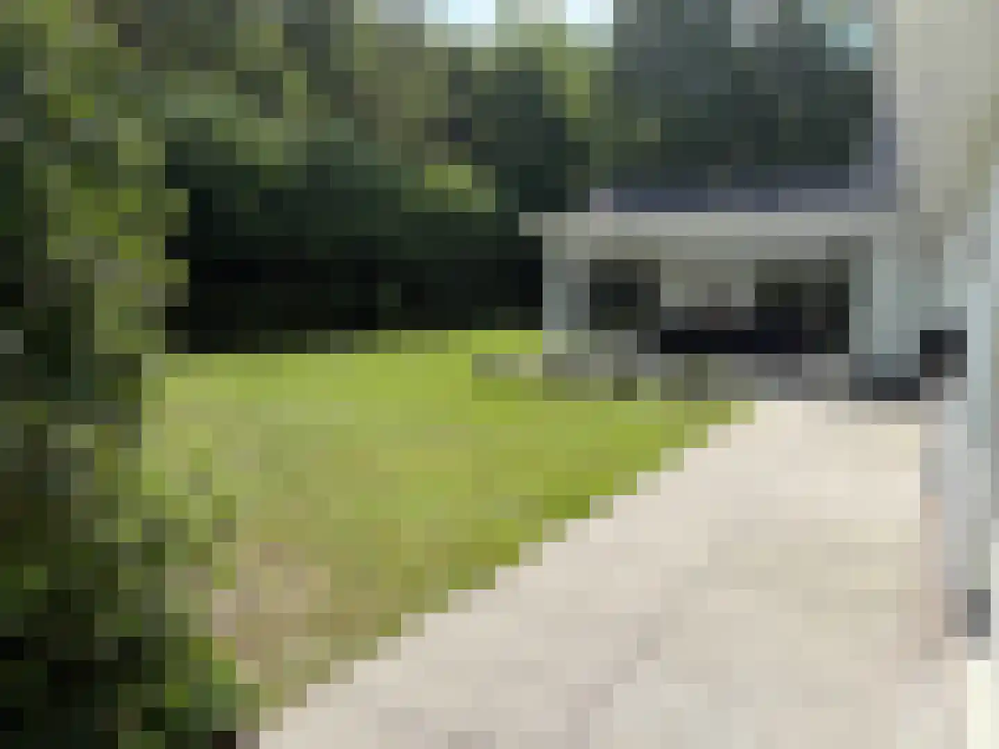 Landkaartje 12 Rijen thumbnail 46